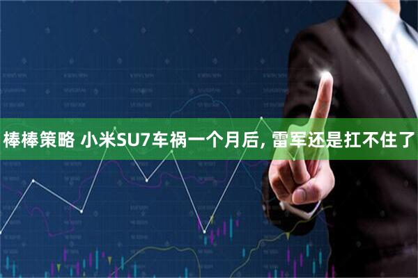 棒棒策略 小米SU7车祸一个月后, 雷军还是扛不住了
