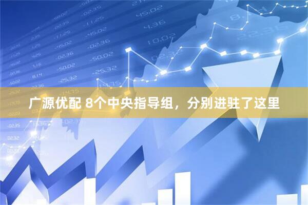 广源优配 8个中央指导组，分别进驻了这里