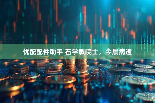 优配配件助手 石学敏院士，今晨病逝