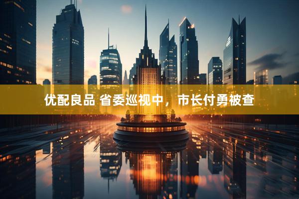 优配良品 省委巡视中，市长付勇被查