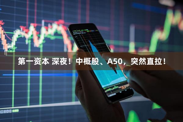 第一资本 深夜！中概股、A50，突然直拉！