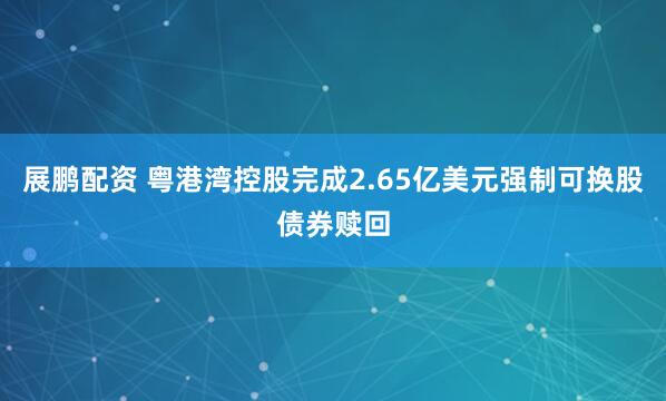 展鹏配资 粤港湾控股完成2.65亿美元强制可换股债券赎回