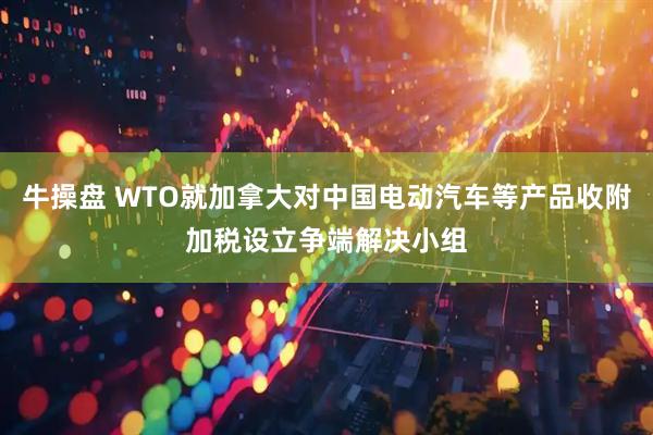 牛操盘 WTO就加拿大对中国电动汽车等产品收附加税设立争端解决小组