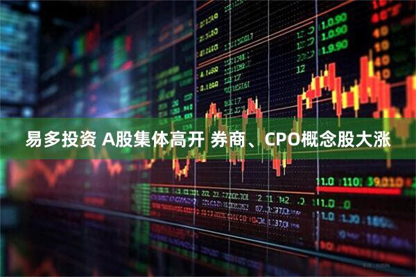 易多投资 A股集体高开 券商、CPO概念股大涨