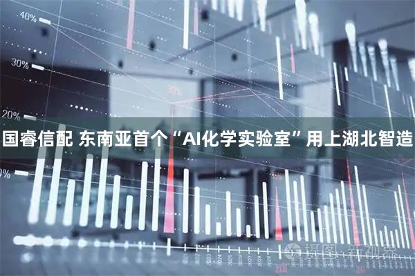 国睿信配 东南亚首个“AI化学实验室”用上湖北智造